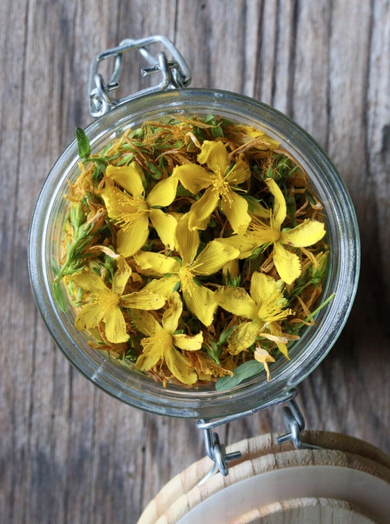 How to put the St. John's flowers in a jar when making oil